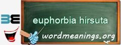 WordMeaning blackboard for euphorbia hirsuta